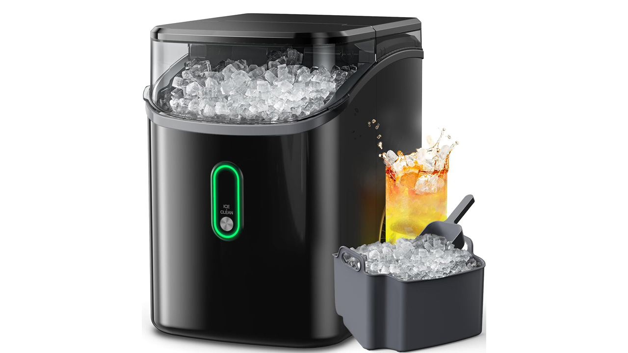 Ice maker