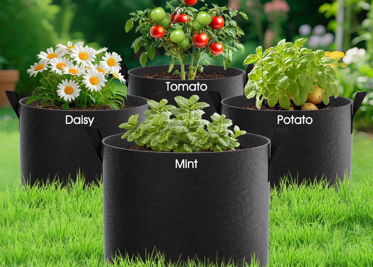 10 Gallon Grow Bags