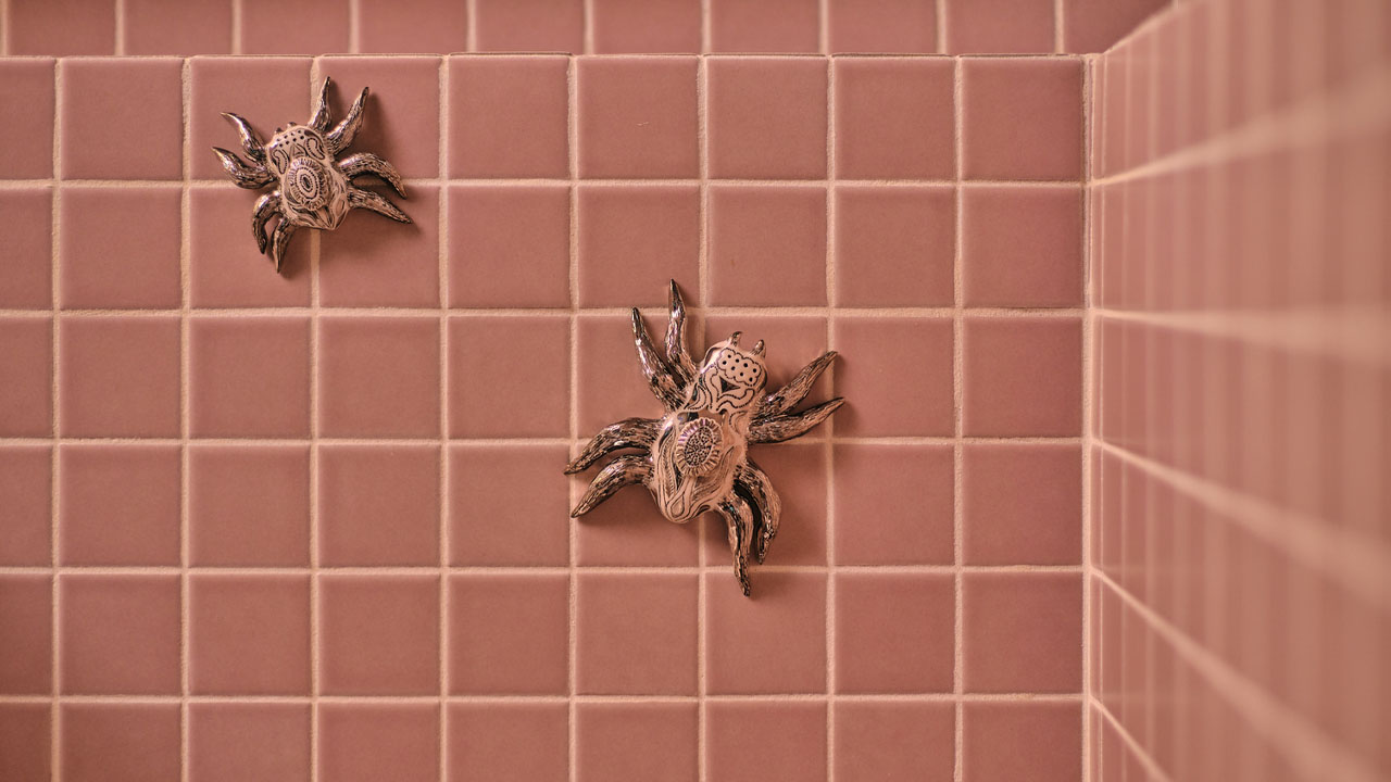 The spider décor in the bathroom