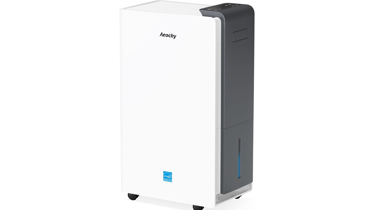 AEOCKY RHEA 002