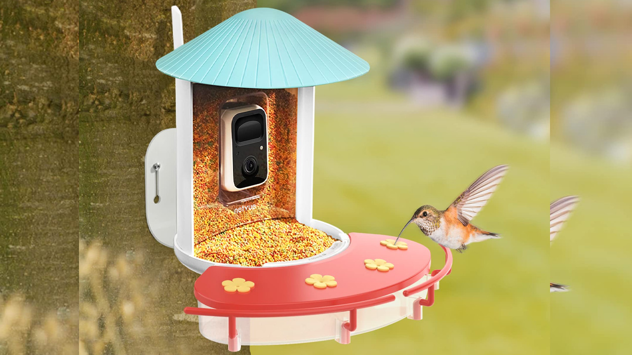 Best 2026 Prime Day Home Deals - NETVUE Birdfy Smart Hummingbird Feeder