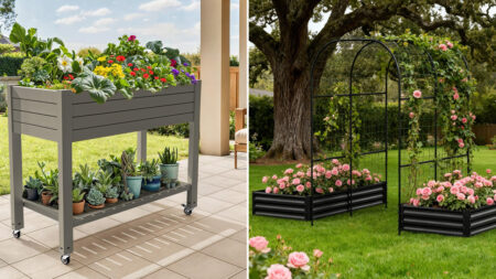 Best Amazon Prime Day Gardening Deals no Green Thumb Should Miss