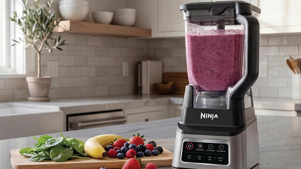 Best Fathers Day gifts Ninja Professional Blender