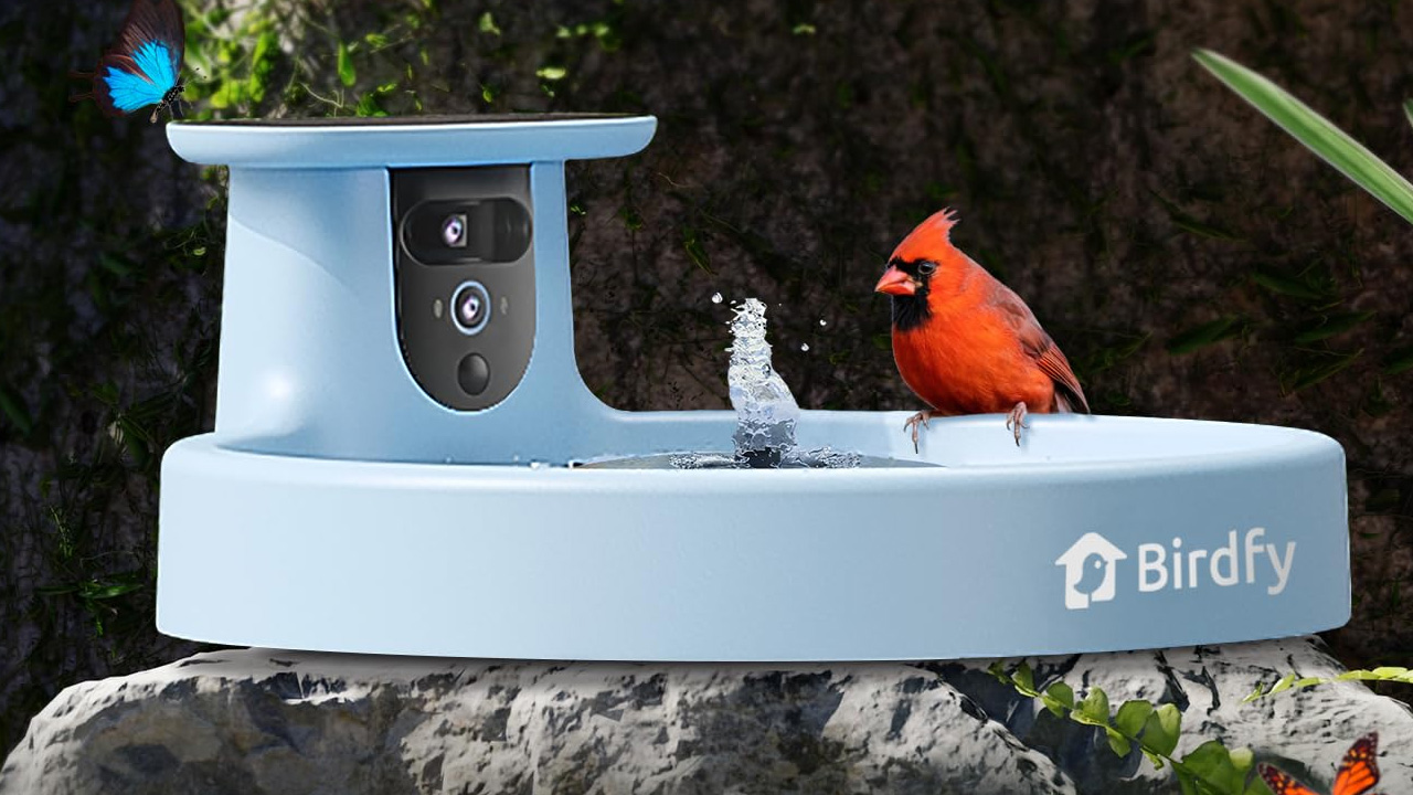 Birdfy Smart Bird Bath with Camera 