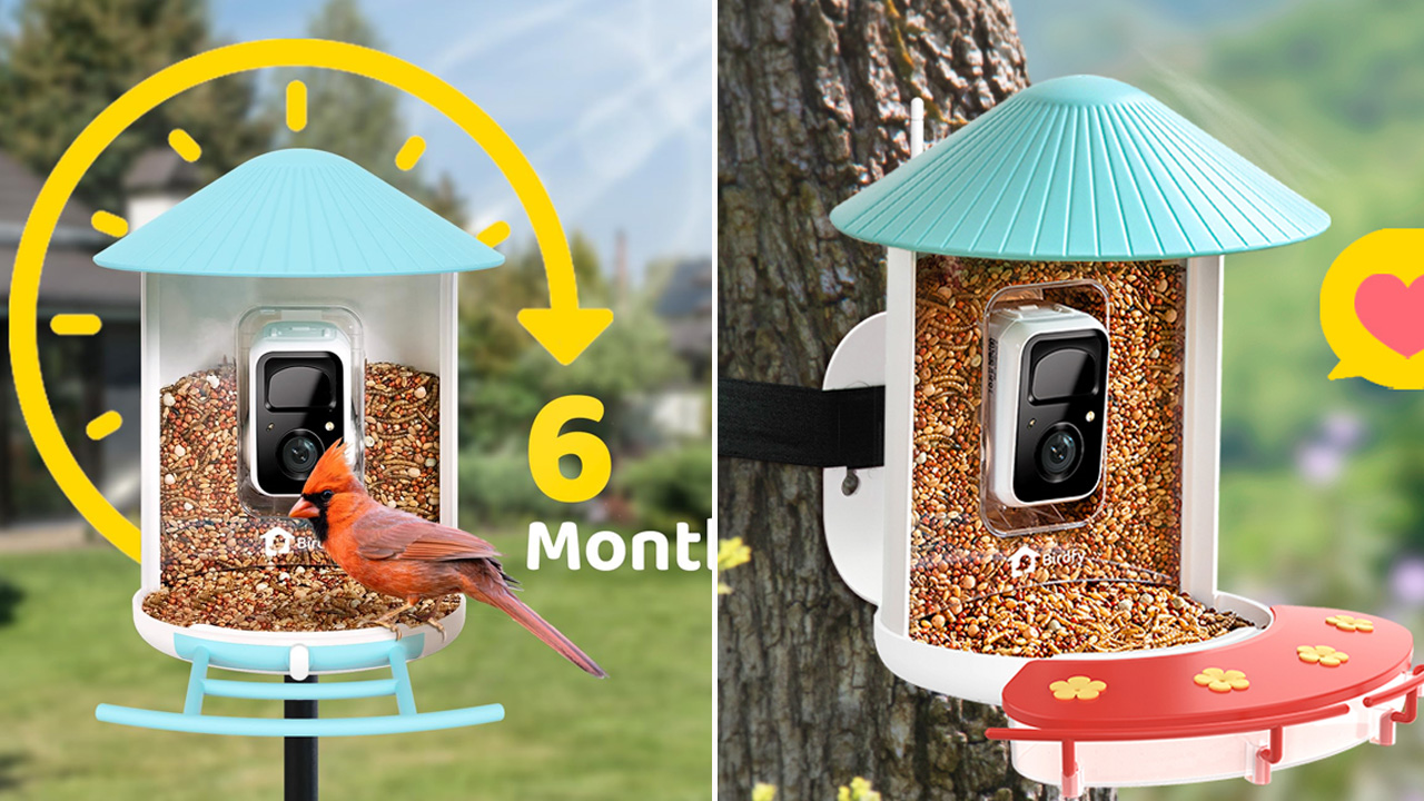 NETVUE Smart Hummingbird Feeder
