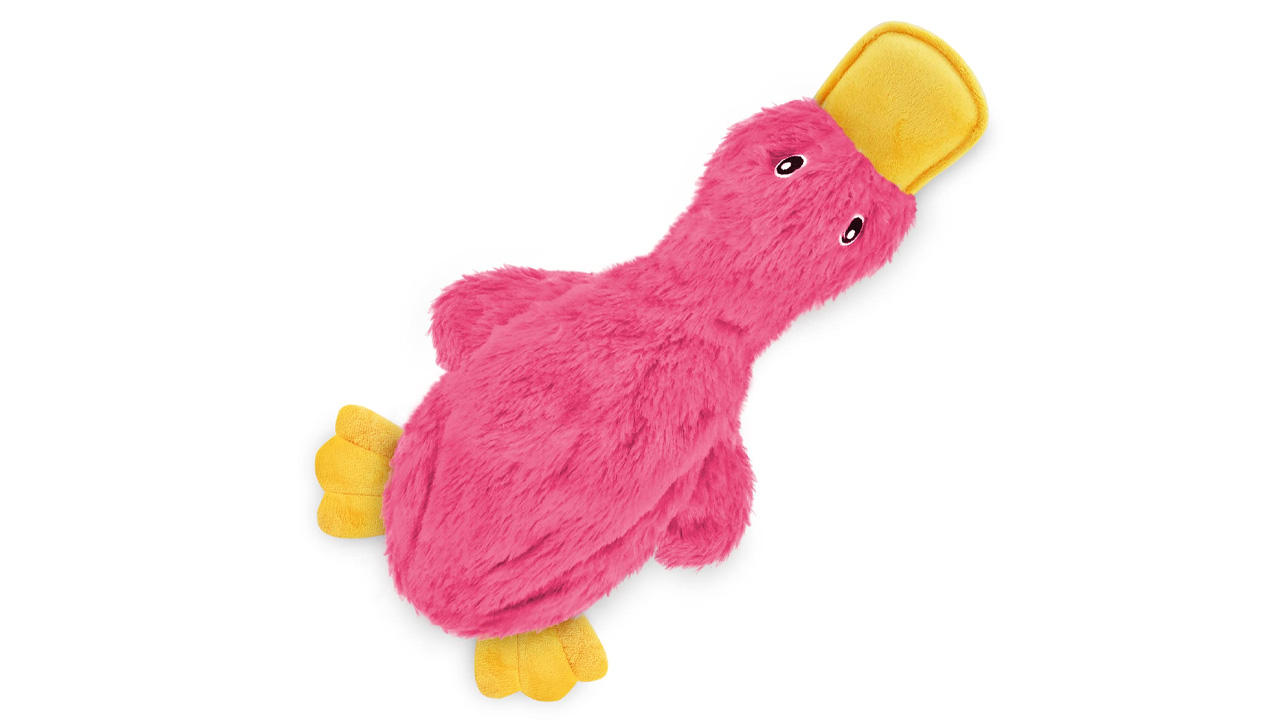 Squeaky Chew Toy for Dogs