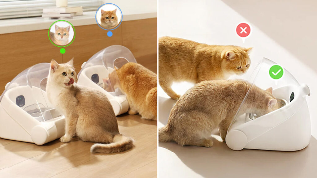 This AI-Powered Smart Feeder Finally Solves the Biggest Mealtime Challenge in Multi-Cat Homes Cheerble Match G1 AI-Powered Smart Feeder