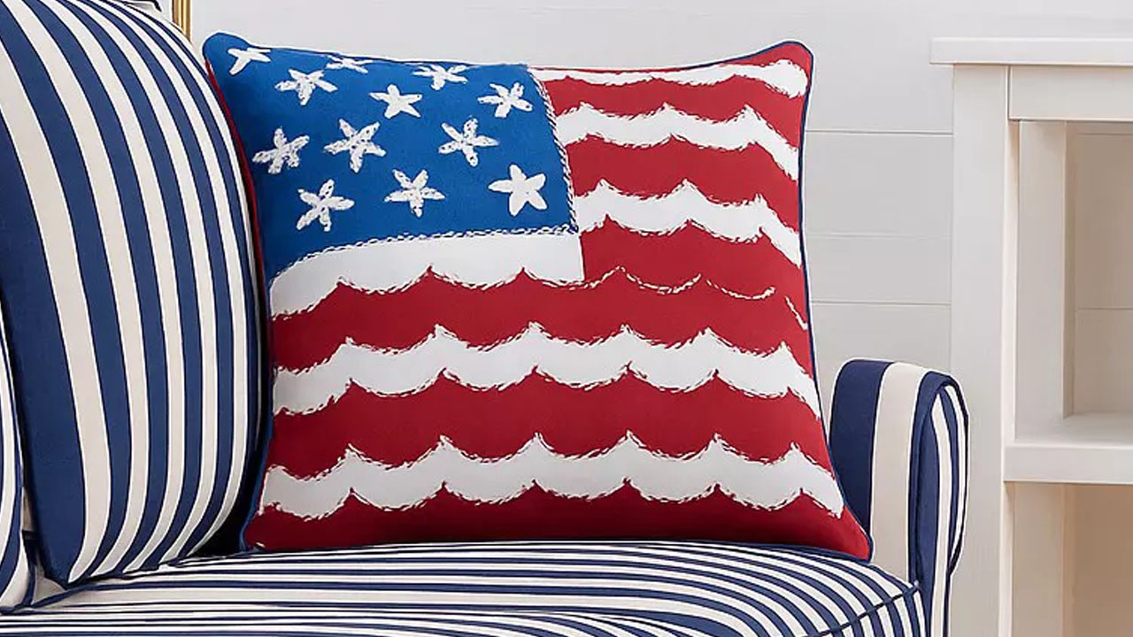 Cotton Accent Throw Pillow