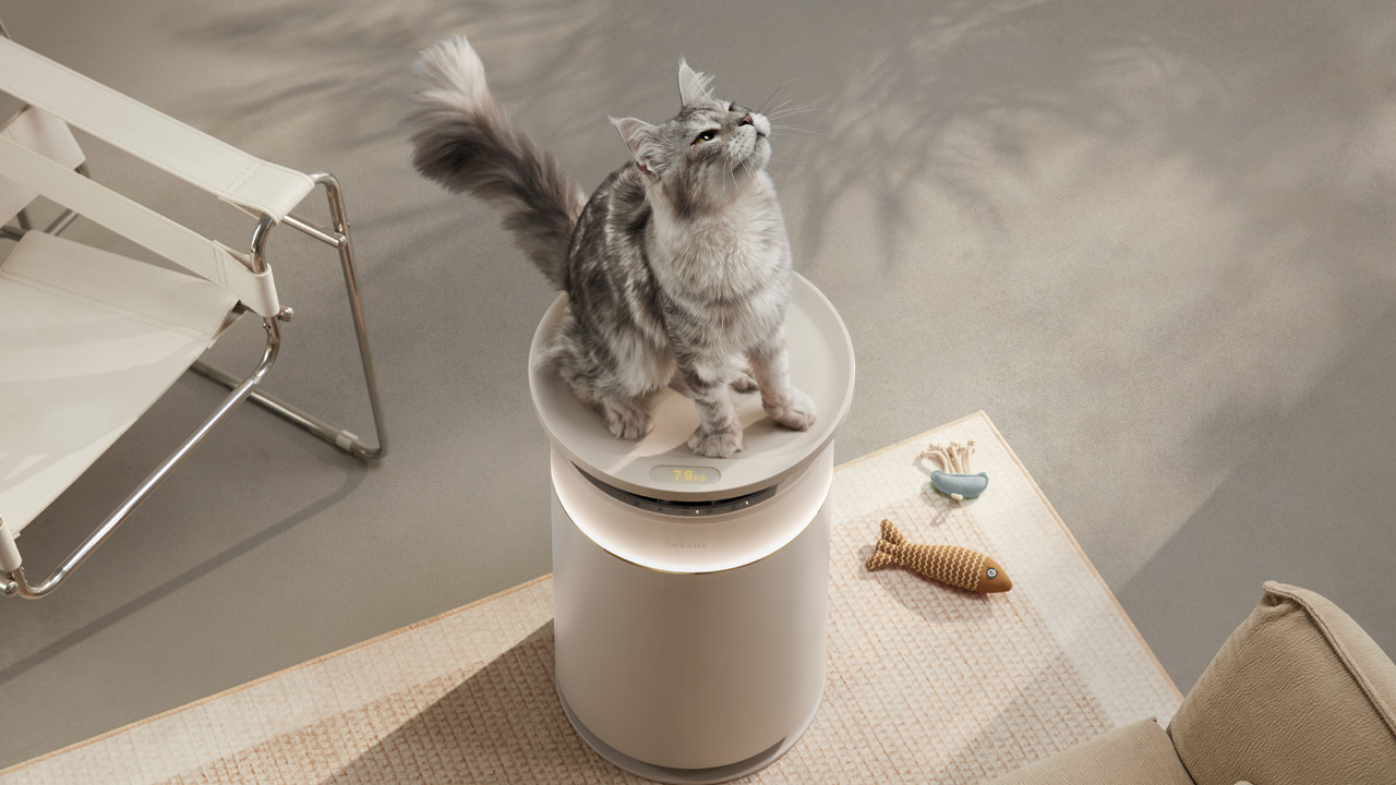 Dreame's air purifier