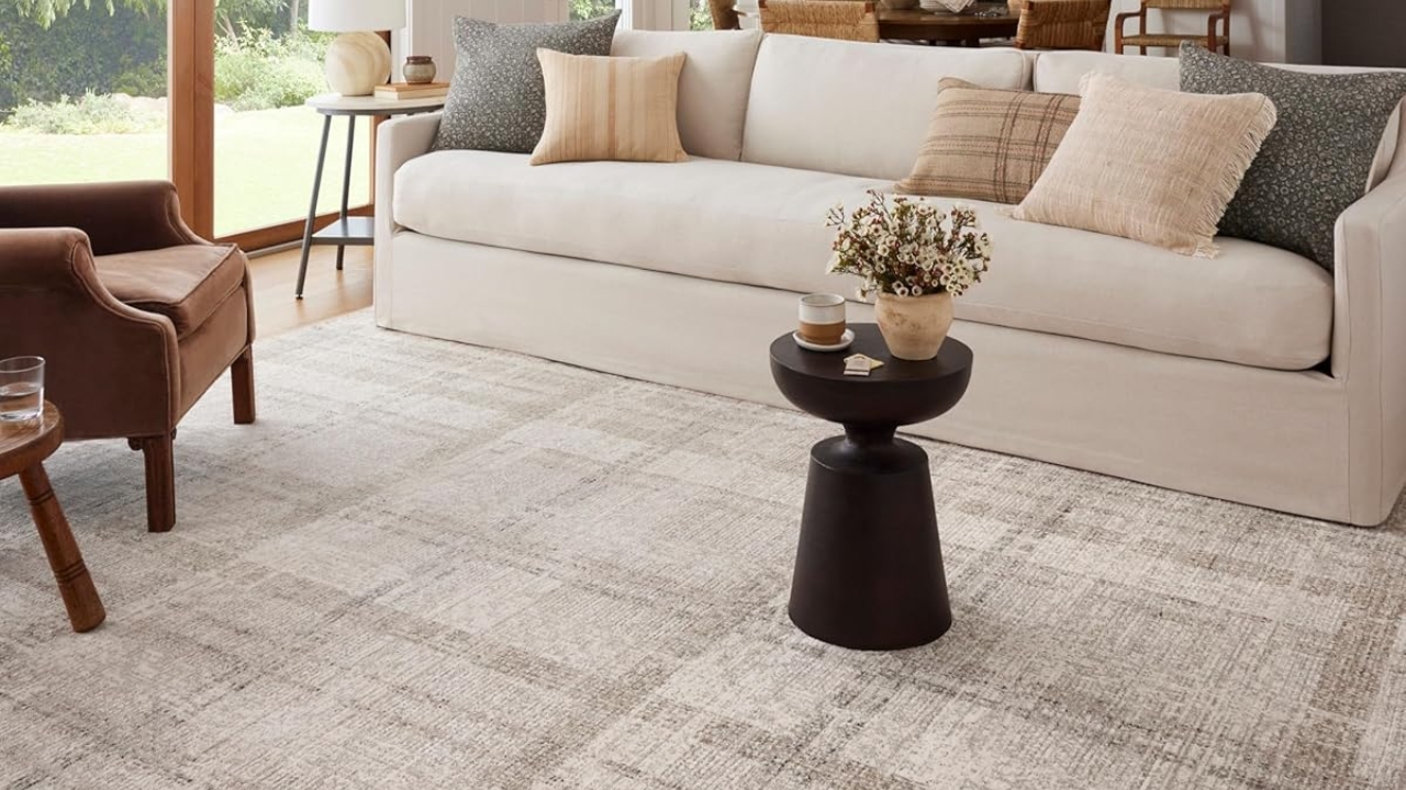 Loloi Angela Rose Ember Collection EMB-04 Area Rug
