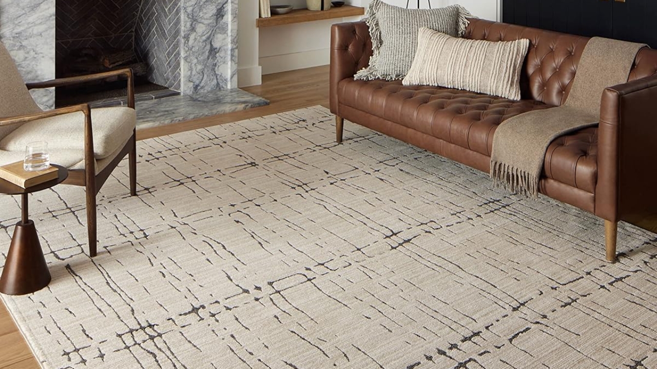 Loloi Darby Collection DAR-06 Area Rug