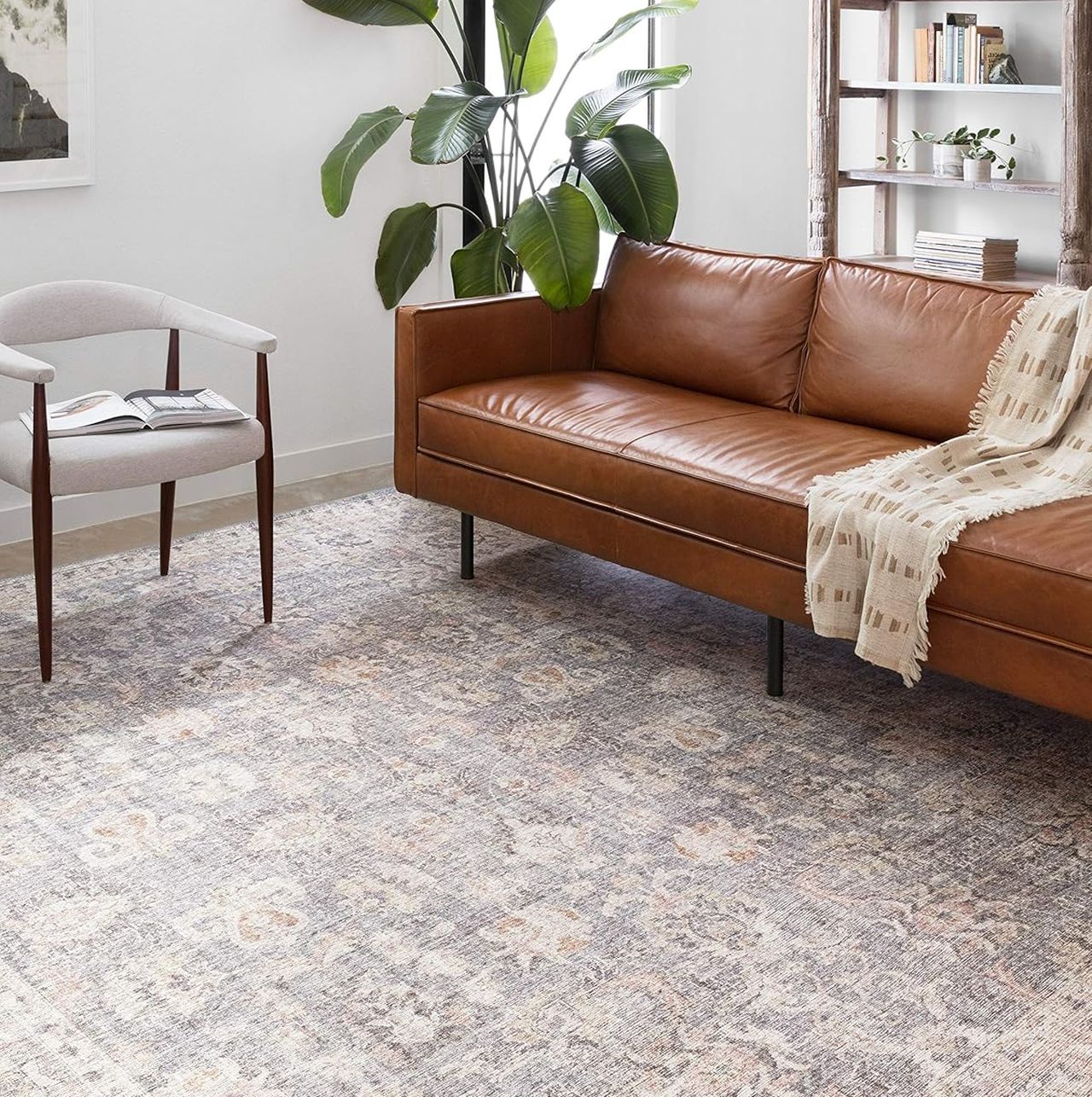 Loloi Skye Collection Area Rug