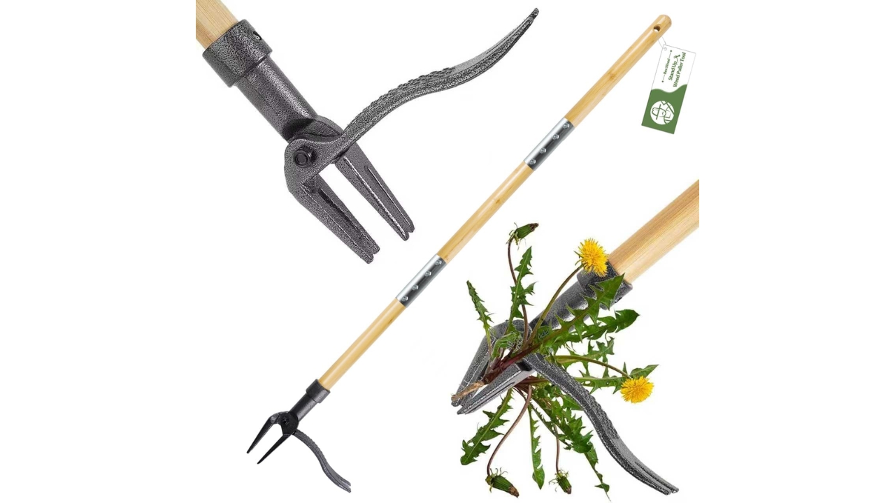 RexWeed Heavy Duty Weed Remover Tool