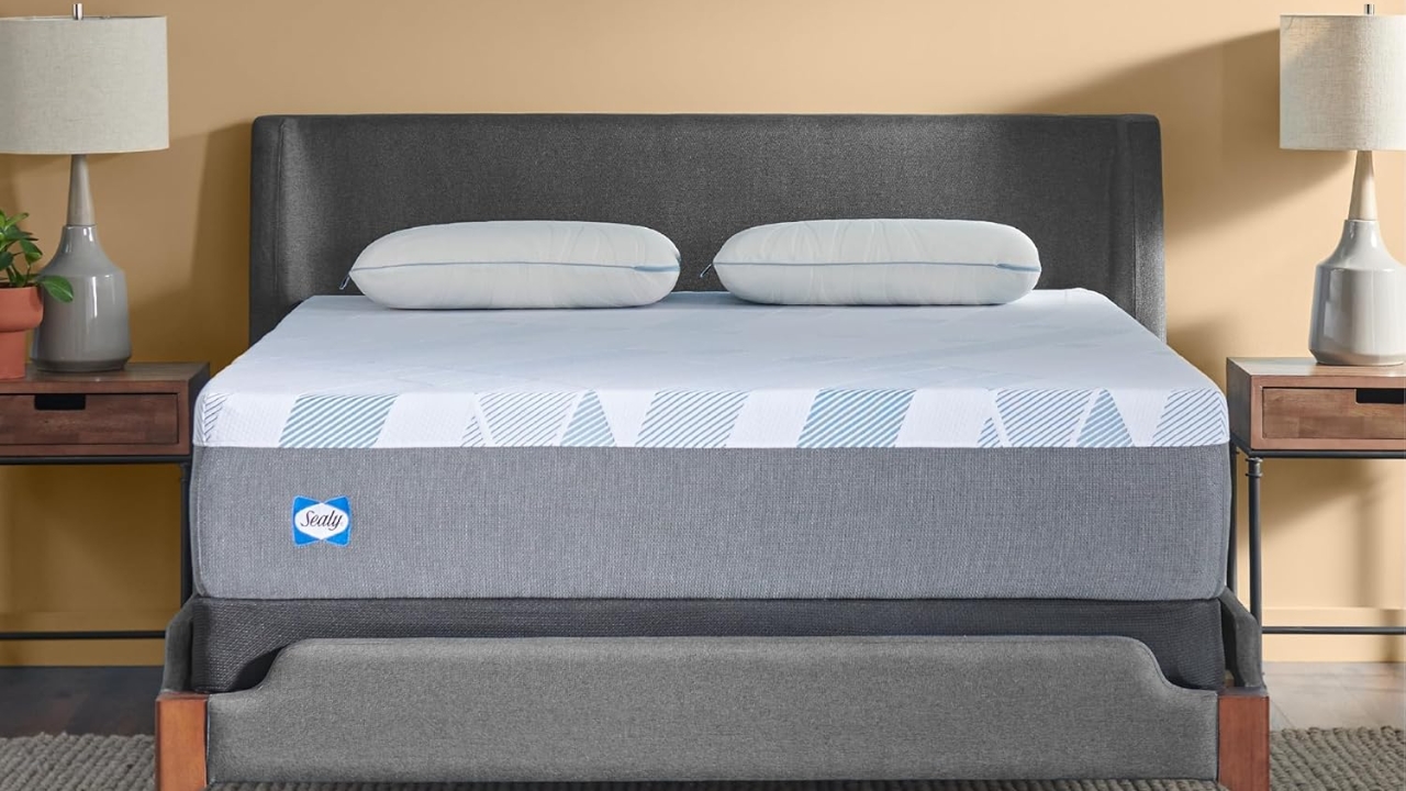 Sealy Dreamlife 12-Inch Foam Mattress