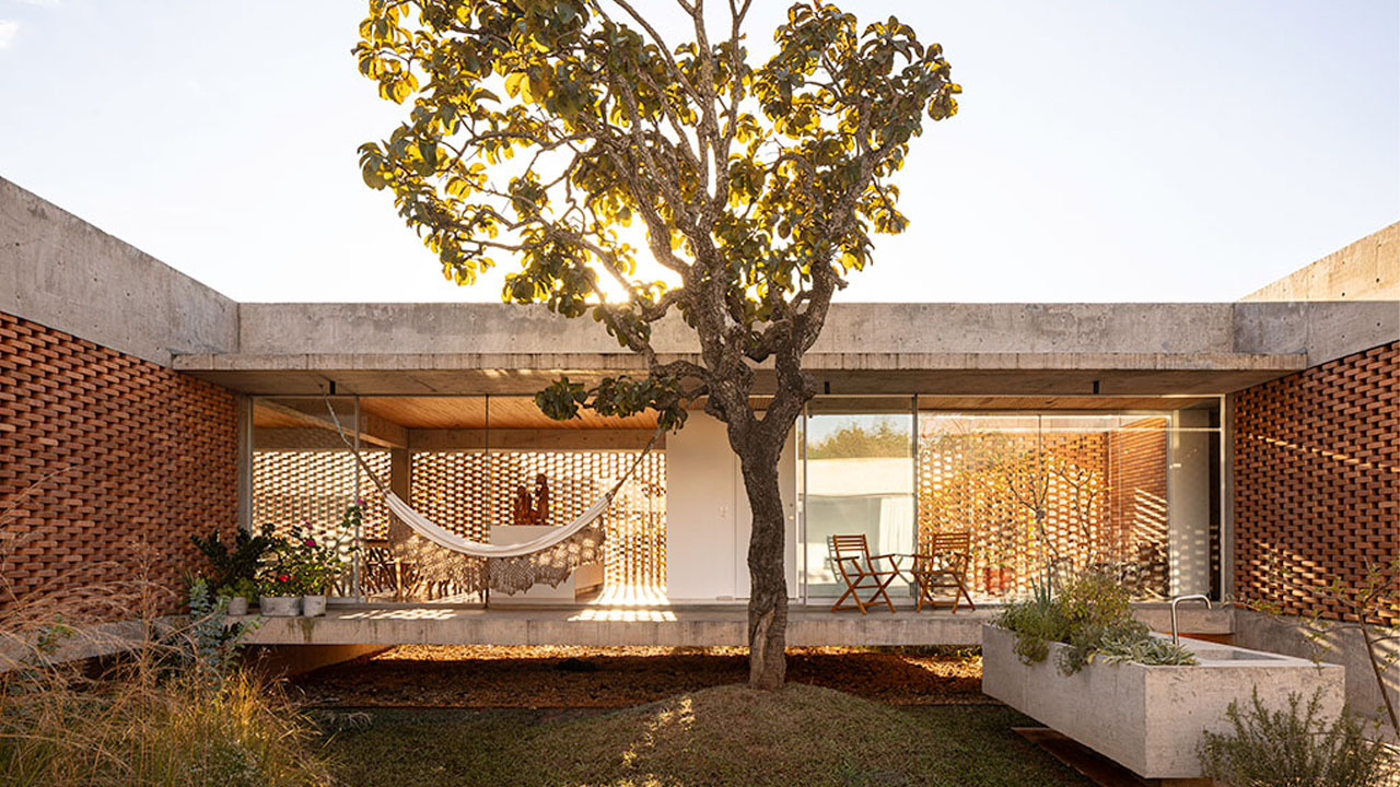 The house built around the pre-existing tree
