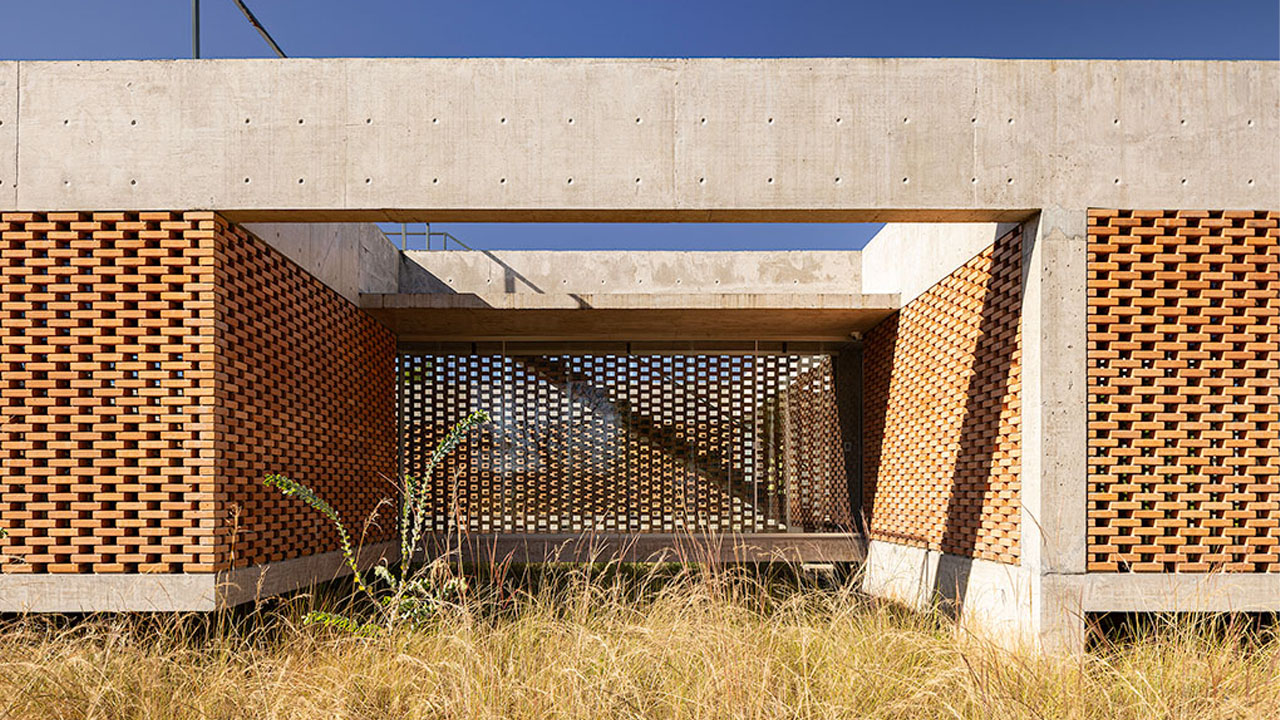 The Cerrado vegetation growing around and underneath the building