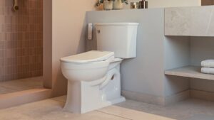 Brondell Says Every Bathroom Should Have Bidet With Its Splashing Prime Day Deals Brondell Prime Day Deals