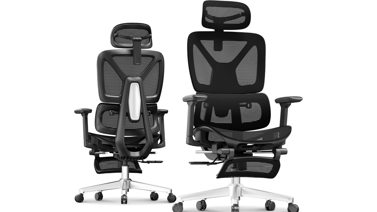 FLEXISPOT ErgoX Premium Ergonomic Office Chair
