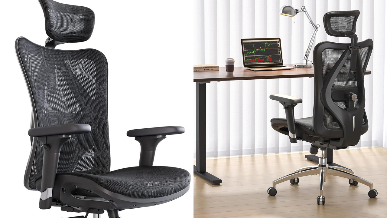 SIHOO M57 Ergonomic Mesh Office Chair