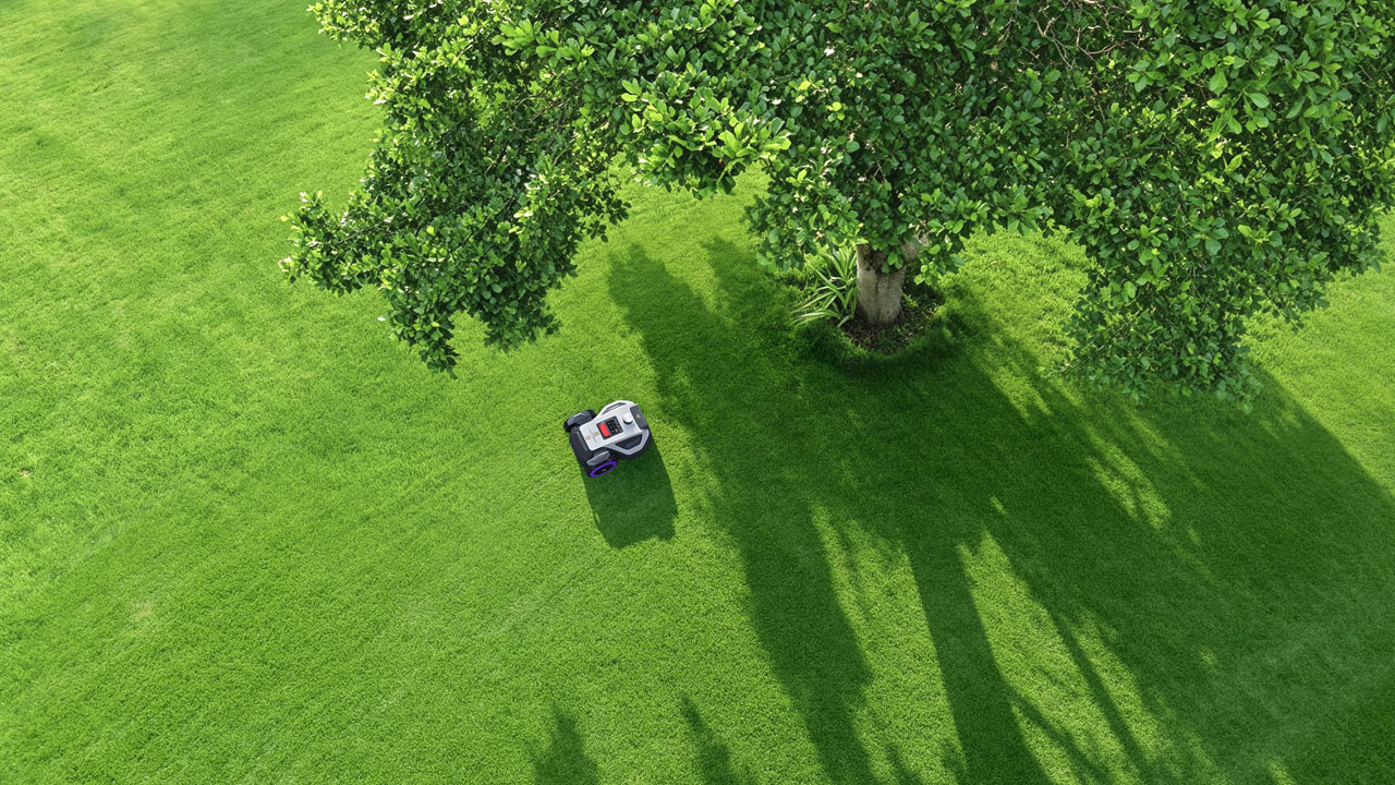ANTHBOT M9 Pro Robot Lawn Mower - under trees