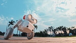 DJI and Tesla Veterans Launch Pet Robot on Wheels That can Record TikToks and Help With Live Streaming Beni Pet Robot on Wheels