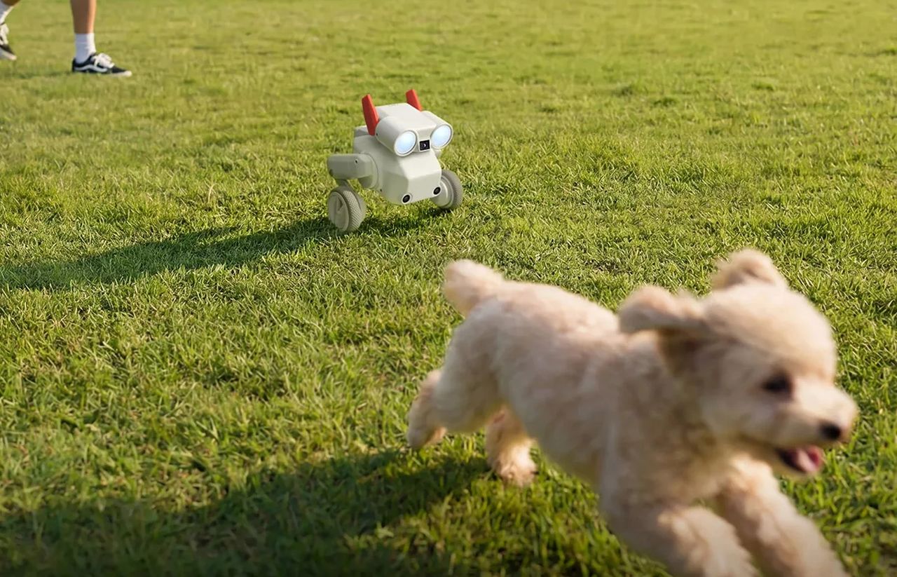 Beni Pet Robot on Wheels