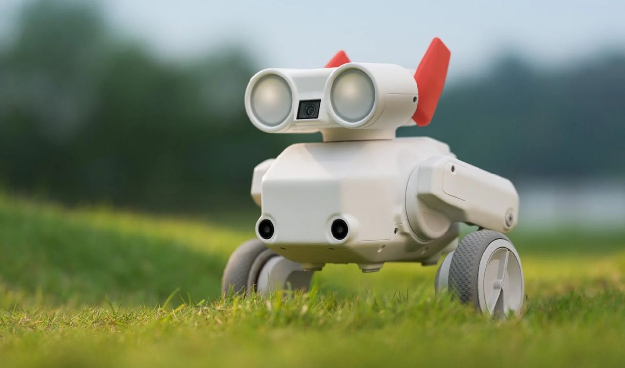 Beni Pet Robot on Wheels