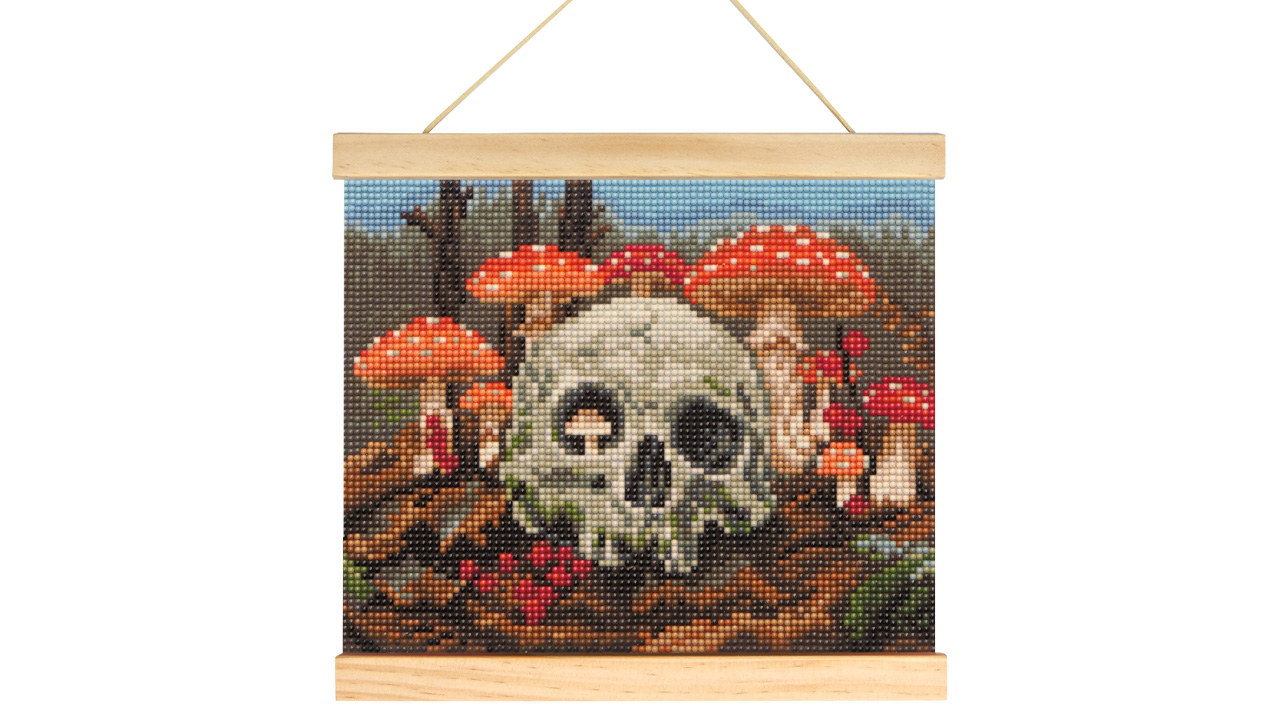 Skull & Mushrooms Diamond Art Kit