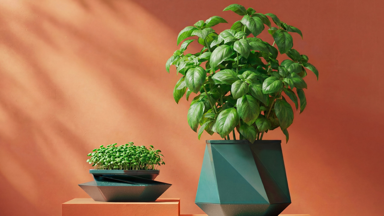 Helix self-watering pot