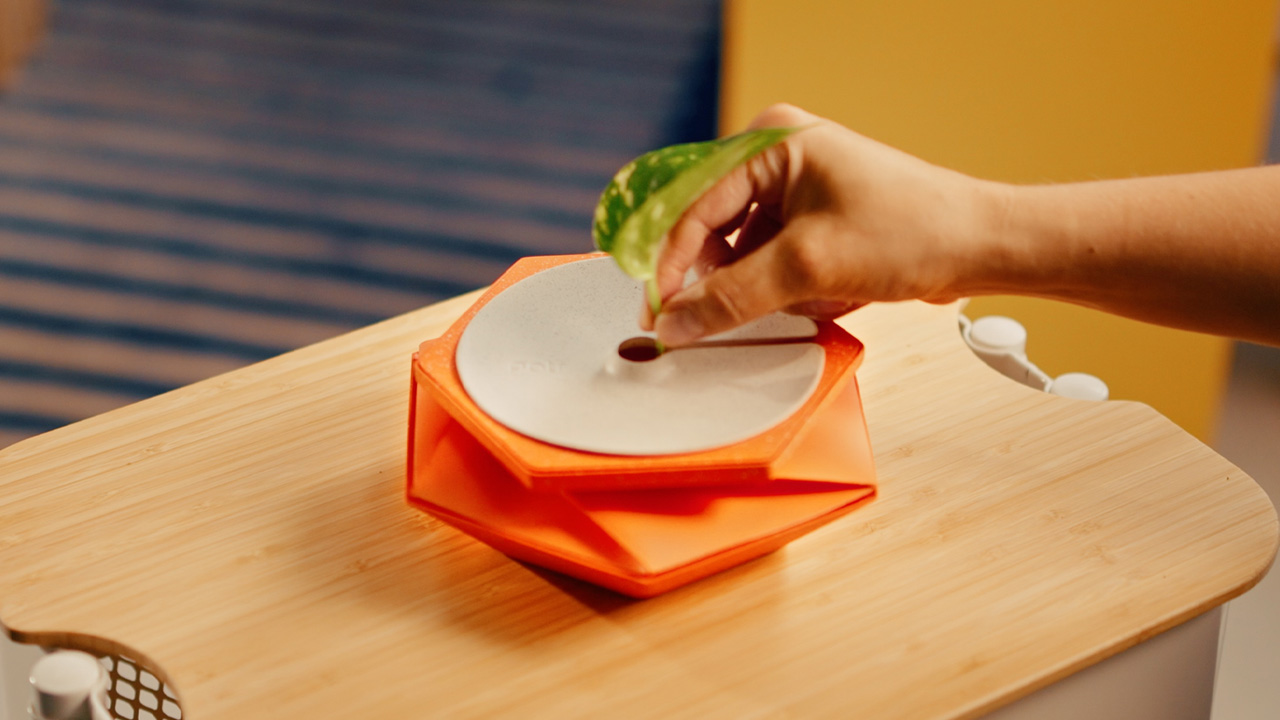 Helix self-watering pot