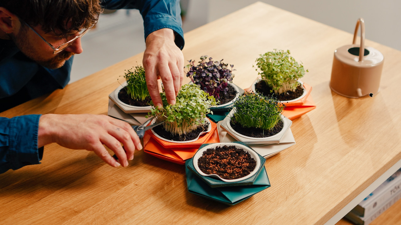 Helix self-watering pot