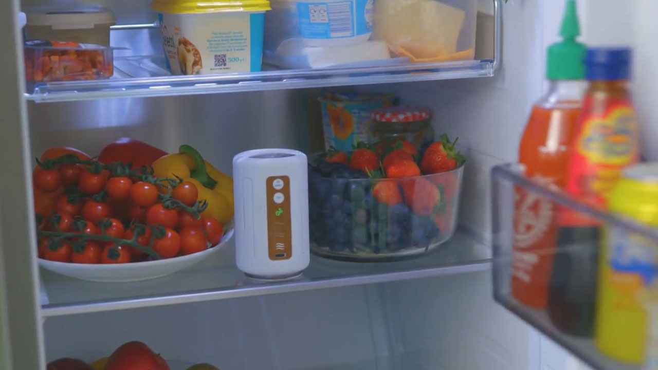 Jetro- can-sized purifier fits inside the fridge