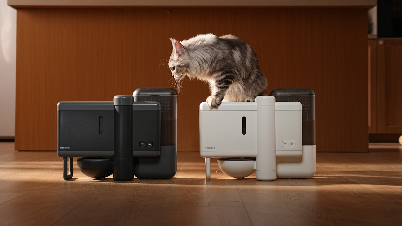 Neakasa Riko Pet Feeder for Wet Food