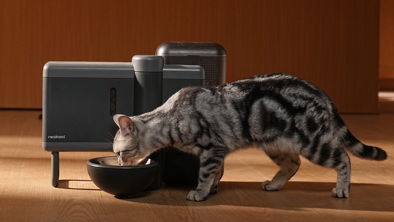 Neakasa Riko Pet Feeder for Wet Food
