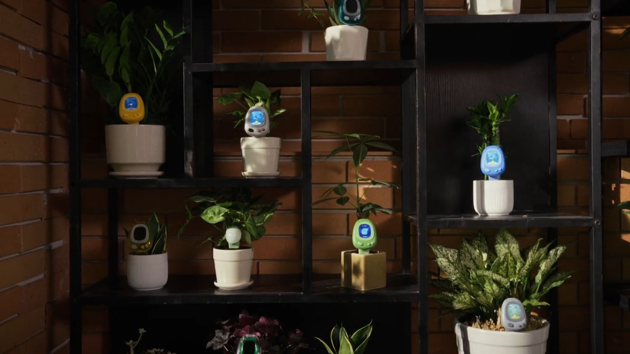 PlantSenso- Multiple plant management