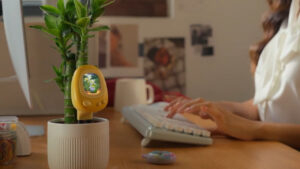 PlantSenso Turns Plant Care Into Interactive Game, Includes Tamagotchi-Style Virtual Pet That Grows With Plant PlantSenso is World’s First Gamified Plant Sensor With Tamagotchi-Style Virtual pet That Grows With Your Plant