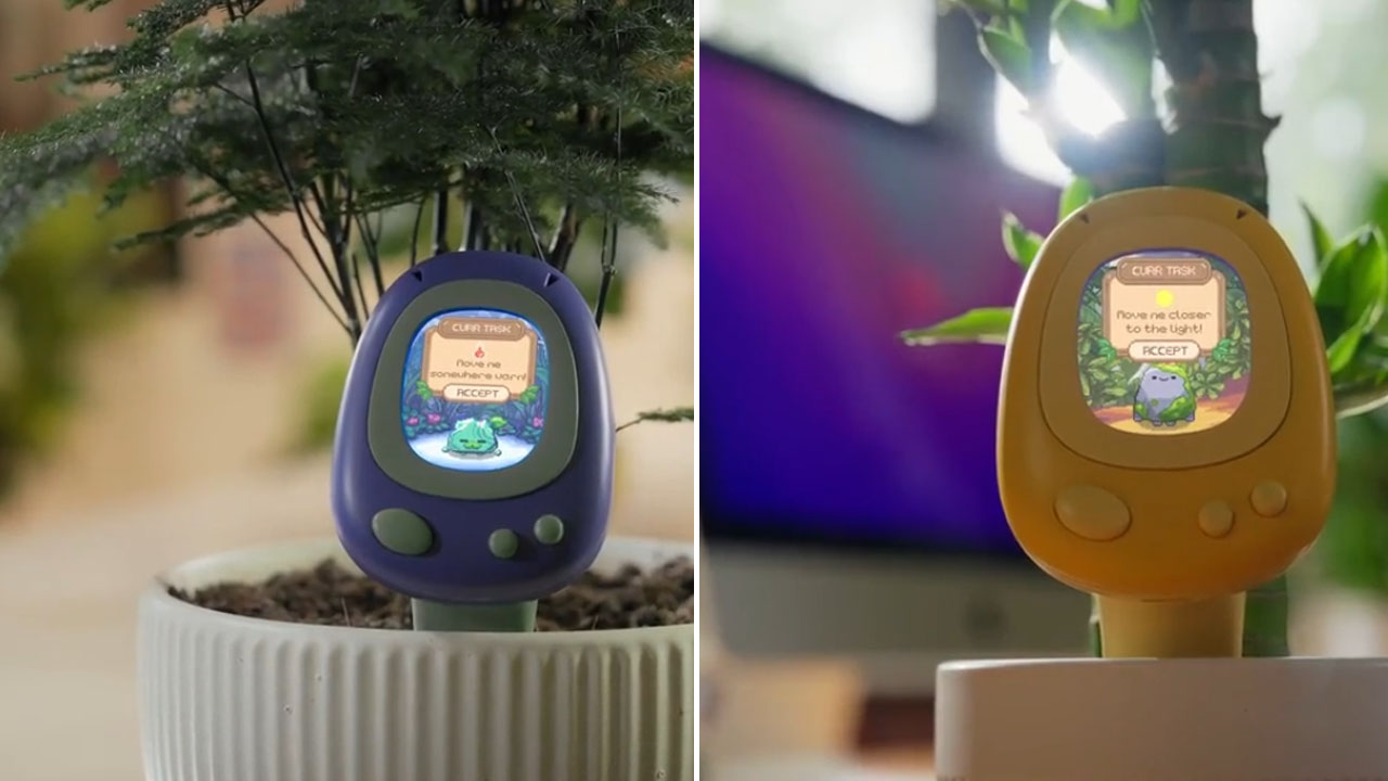 PlantSenso- living pixel reactions