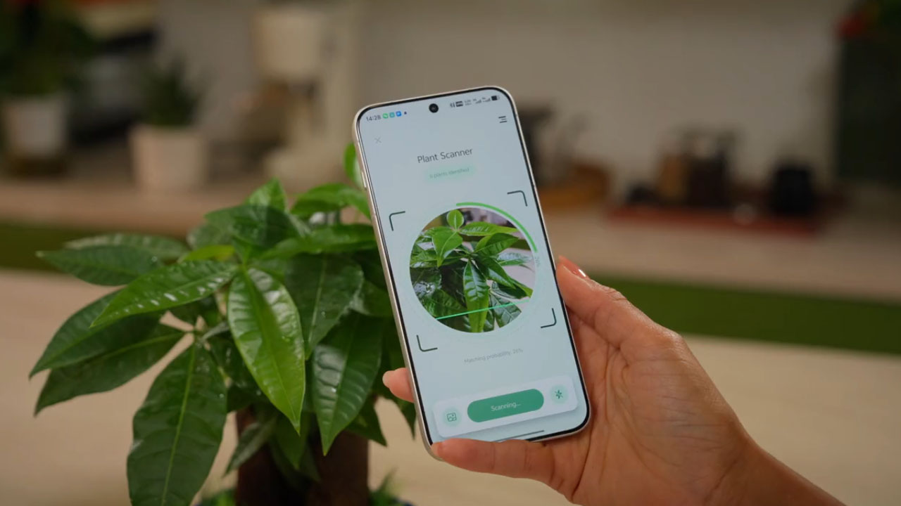 PlantSenso-photo scan for quick diagnosis