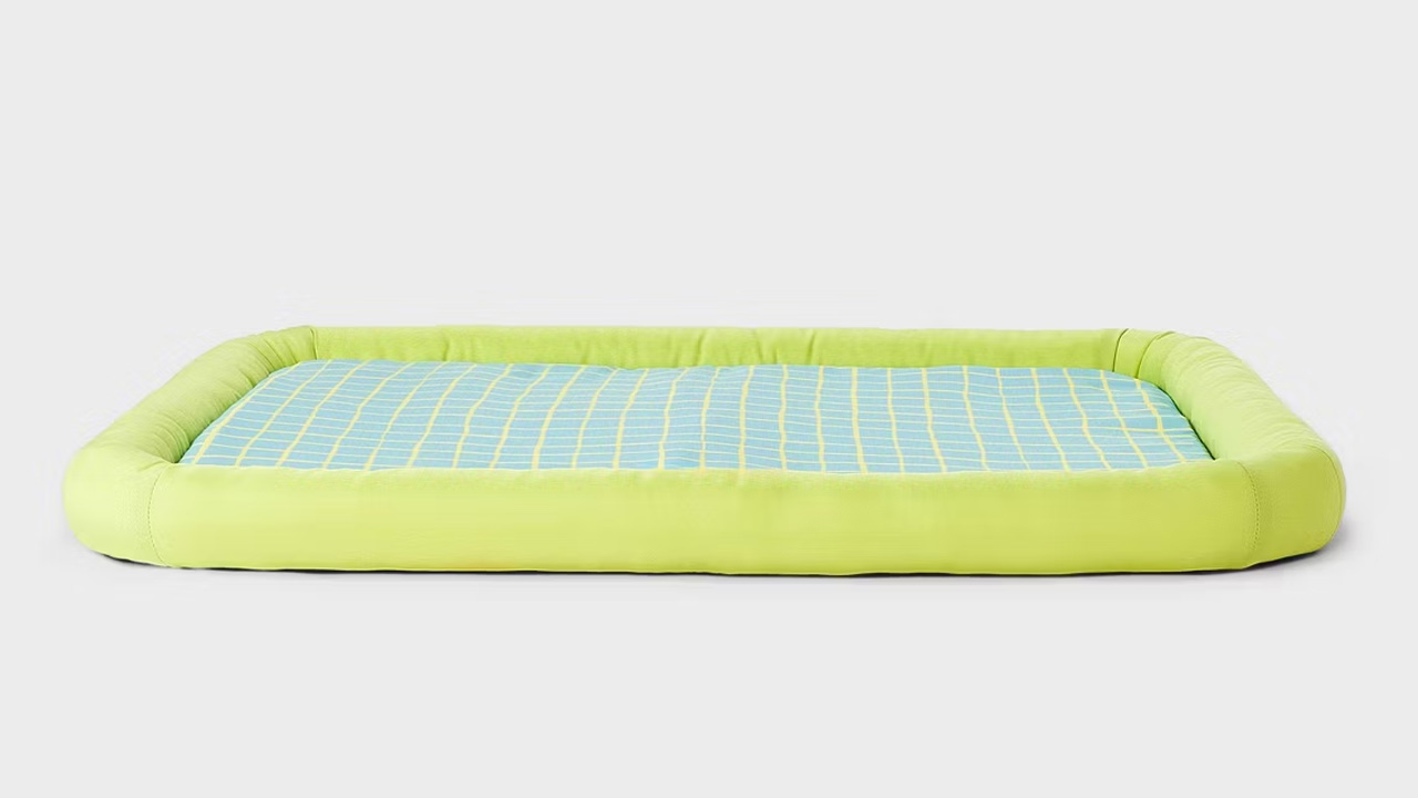 $26 Cooling Mat Dog Bed From Target_in hue of green and blue