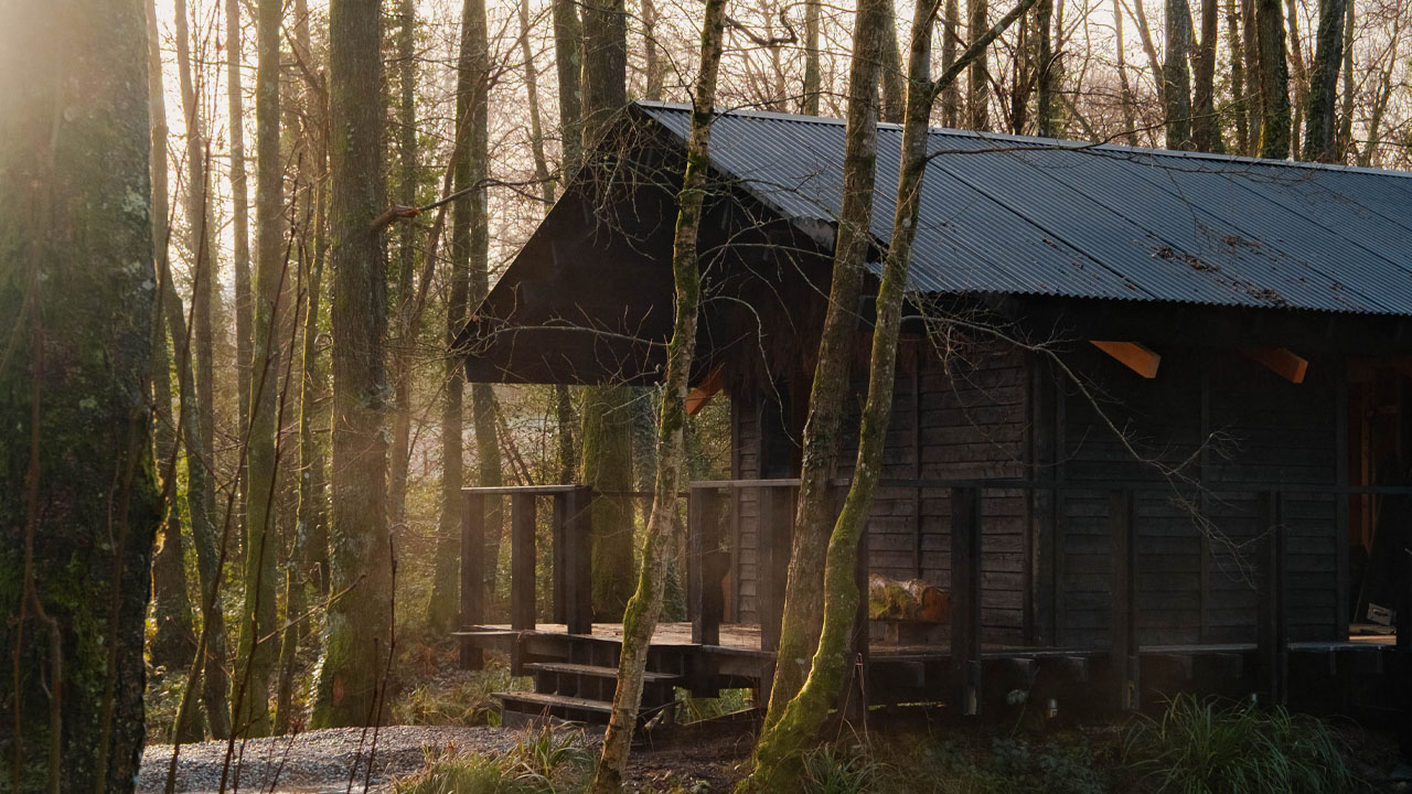 Yogi’s Cabin-perched in quaint woodland