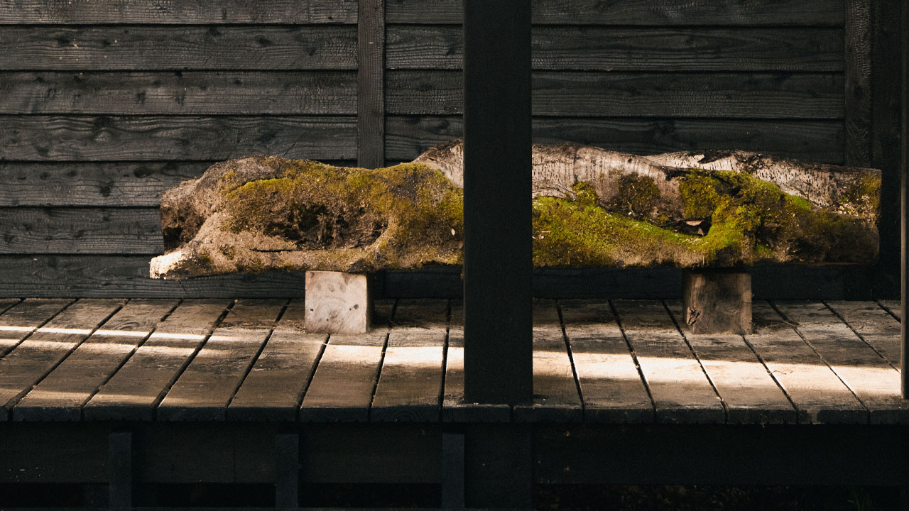 Yogi’s Cabin-sculptural log bench